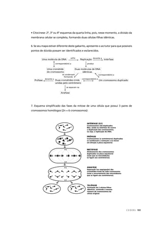 C E D E R J 191
• Citocinese: 2º, 3º ou 4º esquemas da quarta linha, pois, nesse momento, a divisão da
membrana celular se completa, formando duas células-ﬁlhas idênticas.
6. Se seu mapa estiver diferente deste gabarito, apresente-o ao tutor para que possíveis
pontos de dúvida possam ser identiﬁcados e esclarecidos.
7. Esquema simpliﬁcado das fases da mitose de uma célula que possui 3 pares de
cromossomos homólogos (2n = 6 cromossomos):
 