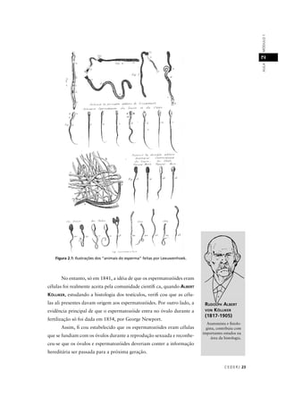 CEDER J 23
AULAMÓDULO12
Figura 2.1: Ilustrações dos “animais do esperma” feitas por Leeuwenhoek.
RUDOLPH ALBERT
VON KÖLLIKER
(1817-1905)
Anatomista e ﬁsiolo-
gista, contribuiu com
importantes estudos na
área da histologia.
No entanto, só em 1841, a idéia de que os espermatozóides eram
células foi realmente aceita pela comunidade cientíﬁ ca, quando ALBERT
KÖLLIKER, estudando a histologia dos testículos, veriﬁ cou que as célu-
las ali presentes davam origem aos espermatozóides. Por outro lado, a
evidência principal de que o espermatozóide entra no óvulo durante a
fertilização só foi dada em 1854, por George Newport.
Assim, ﬁ cou estabelecido que os espermatozóides eram células
que se fundiam com os óvulos durante a reprodução sexuada e reconhe-
ceu-se que os óvulos e espermatozóides deveriam conter a informação
hereditária ser passada para a próxima geração.
 