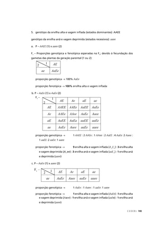 C E D E R J 199
5. genótipo da ervilha alta e vagem inﬂada (estados dominantes): AAEE
genótipo da ervilha anã e vagem deprimida (estados recessivos): aaee
a. P – AAEE (1) xE aaee (2)
F1
– Proporções genotípica e fenotípica esperadas na F1
; devido à fecundação dos
gametas das plantas da geração parental (1 ou 2):
proporção genotípica → 100% AaEe
proporção fenotípica → 100% ervilha alta e vagem inﬂada
b. P – AaEe (1) x AaEe (2)
proporção genotípica → 1 AAEE : 2E AAEe : 1 AAee : 2 AaEE : 4E AaEe: 2 Aaee :
1 aaEE: 2 aaEe: 1 aaee
proporção fenotípica → 9 ervilha alta e vagem inﬂada (A_E(( _) :E 3 ervilha alta
e vagem deprimida (A_ee(( ) : 3 ervilha anã e vagem inﬂada (aaE_) :E 1 ervilha anã
e deprimida (aaee)
c. P – AaEe (1) x aaee (2)
F1
–
proporção genotípica → 1 AaEe : 1 Aaee : 1 aaEe: 1 aaee
proporção fenotípica → 1 ervilha alta e vagem inﬂada (AaEe(( ) : 1 ervilha alta
e vagem deprimida (A(( aee) : 1 ervilha anã e vagem inﬂada (aaEe) : 1 ervilha anã
e deprimida (aaee)
1
2 AE
ae AaEe
1
22
AE Ae aE ae
AE AAEE AAEe AaEE AaEe
Ae AAEe AAee AaEe Aaee
aE AaEE AaEa aaEE aaEe
ae AaEe Aaee aaEe aaee
F1
–
1
2 AE Ae aE ae
ae AaEe Aaee aaEe aaee
 