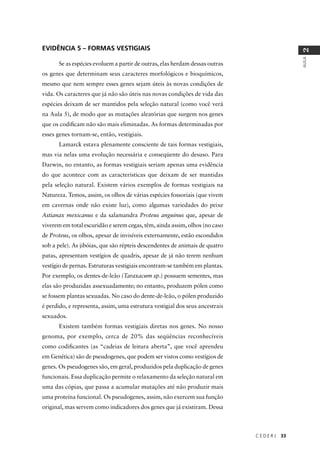 C E D E R J 33
AULA
2
EVIDÊNCIA 5 – FORMAS VESTIGIAIS
Se as espécies evoluem a partir de outras, elas herdam dessas outras
os genes que determinam seus caracteres morfológicos e bioquímicos,
mesmo que nem sempre esses genes sejam úteis às novas condições de
vida. Os caracteres que já não são úteis nas novas condições de vida das
espécies deixam de ser mantidos pela seleção natural (como você verá
na Aula 5), de modo que as mutações aleatórias que surgem nos genes
que os codiﬁcam não são mais eliminadas. As formas determinadas por
esses genes tornam-se, então, vestigiais.
Lamarck estava plenamente consciente de tais formas vestigiais,
mas via nelas uma evolução necessária e conseqüente do desuso. Para
Darwin, no entanto, as formas vestigiais seriam apenas uma evidência
do que acontece com as características que deixam de ser mantidas
pela seleção natural. Existem vários exemplos de formas vestigiais na
Natureza. Temos, assim, os olhos de várias espécies fossoriais (que vivem
em cavernas onde não existe luz), como algumas variedades do peixe
Astianax mexicanus e da salamandra Proteus anguinus que, apesar de
viverem em total escuridão e serem cegas, têm, ainda assim, olhos (no caso
de Proteus, os olhos, apesar de invisíveis externamente, estão escondidos
sob a pele). As jibóias, que são répteis descendentes de animais de quatro
patas, apresentam vestígios de quadris, apesar de já não terem nenhum
vestígio de pernas. Estruturas vestigiais encontram-se também em plantas.
Por exemplo, os dentes-de-leão (Taraxacum sp.) possuem sementes, mas
elas são produzidas assexuadamente; no entanto, produzem pólen como
se fossem plantas sexuadas. No caso do dente-de-leão, o pólen produzido
é perdido, e representa, assim, uma estrutura vestigial dos seus ancestrais
sexuados.
Existem também formas vestigiais diretas nos genes. No nosso
genoma, por exemplo, cerca de 20% das seqüências reconhecíveis
como codiﬁcantes (as “cadeias de leitura aberta”, que você aprendeu
em Genética) são de pseudogenes, que podem ser vistos como vestígios de
genes. Os pseudogenes são, em geral, produzidos pela duplicação de genes
funcionais. Essa duplicação permite o relaxamento da seleção natural em
uma das cópias, que passa a acumular mutações até não produzir mais
uma proteína funcional. Os pseudogenes, assim, não exercem sua função
original, mas servem como indicadores dos genes que já existiram. Dessa
 