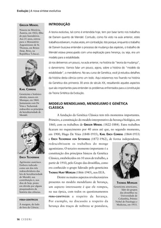 C E D E R J56
Evolução | A nova síntese evolutiva
INTRODUÇÃO
A teoria evolutiva, tal como é entendida hoje, tem por base tanto nos trabalhos
de Darwin quanto de Mendel. Contudo, como foi visto na aula anterior, estes
trabalhosestiveram,muitasvezes,emcontradição.Istoporque,enquantootrabalho
de Darwin buscava entender o processo de mudança das espécies, o trabalho de
Mendel estava preocupado com uma explicação para herança, ou seja, era um
modelo para a estabilidade.
Já nos detivemos um pouco, na aula anterior, na história da “teoria da mudança”,
o darwinismo. Vamos falar um pouco, agora, sobre a história do “modelo da
estabilidade”, o mendelismo. No seu curso de Genética, você já estudou detalhes
da história desta ciência como um todo. Aqui estaremos nos ﬁxando na história
da Genética dos primeiros 30 anos do século XX, ressaltando aqueles aspectos
que são importantes para entender os problemas enfrentados para a constituição
da Teoria Sintética da Evolução.
MODELO MENDELIANO, MENDELISMO E GENÉTICA
CLÁSSICA
A fundação da Genética Clássica tem três momentos importantes.
Primeiro, a constituição do modelo interpretativo da herança biológica, em
1860, com os trabalhos de GREGOR MENDEL (1822-1884). Estes trabalhos
ﬁcaram no esquecimento por 40 anos até que, no segundo momento,
em 1900, Hugo De Vries (1848-1935), KARL ERICH CORRENS (1864-1933)
e ERICH TSCHERMAK VON SEYSENEGG (1872-1962), de forma independente,
redescobrissem os trabalhos do monge
agostiniano. O terceiro momento importante é a
constituição dos princípios básicos da Genética
Clássica, estabelecidos em 10 anos de trabalho, a
partir de 1910, pelo Grupo das drosóﬁlas, como
era conhecido o grupo liderado pelo geneticista
THOMAS HUNT MORGAN (1866-1945), nos EUA.
Dentre os muitos aspectos revolucionários
presentes no modelo mendeliano de herança,
um aspecto interessante é que ele rompeu,
na sua época, com todos os questionamentos
PÁRA-CIENTÍFICOS a respeito da herança.
Por exemplo, na discussão a respeito da
herança dos traços de nobreza se postulava,
GREGOR MENDEL
Nasceu na Morávia,
Áustria, em 1822, ﬁlho
de pais fazendeiros.
Aos 21 anos, entrou
para o Monastério
Augostiniano de St.
Thomas, em Brünn
(hoje, Brno, na
República Tcheca).
KARL CORRENS
Geneticista e botânico
alemão, nasceu em
Munique, em 1864.
Juntamente com De
Vries e Tschermak
redescobre os princípios
da hereditariedade de
Mendel.
ERICH TSCHERMAK
Agrônomo austríaco.
Embora indicado
como um dos três
redescobridores das
leis de hereditariedade
de Mendel, sua
contribuição é, nos
dias de hoje, posta
em dúvida por alguns
pesquisadores da
história das ciências.
THOMAS MORGAN
Geneticista americano,
líder do grupos
das drosóﬁlas na
Universidade de
Columbia, Prêmio
Nobel de Fisiologia e
Medicina, em 1933.
PÁRA-CIENTÍFICOS
À margem, do lado
de fora da Ciência.
 