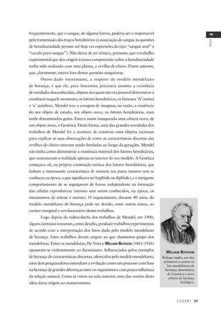 C E D E R J 57
AULA
4
freqüentemente, que o sangue, de alguma forma, poderia ser o responsável
pela transmissão dos traços hereditários (a associação do sangue às questões
de hereditariedade persiste até hoje em expressões do tipo “sangue azul” e
“cavalo puro-sangue”). Não deixa de ser irônico, portanto, que o trabalho
experimental que deu origem à nossa compreensão sobre a hereditariedade
tenha sido realizado com uma planta, a ervilha-de-cheiro Pisum sativum,
que, claramente, estava fora destas questões sanguíneas.
Outro dado interessante, a respeito do modelo mendeliano
de herança, é que ele, para funcionar, precisava assumir a existência
de entidades desconhecidas, objetos dos quais não era possível demonstrar a
existência naquele momento; os fatores hereditários, os famosos ‘A’ (azões)
e ‘a’ (azinhos). Mendel teve a coragem de imaginar, na razão, a existência
do seu objeto de estudo, um objeto novo, os fatores hereditários, mais
tarde denominados genes. Estava assim inaugurada uma ciência nova, de
um objeto novo, a Genética. Desta forma, uma das grandes novidades dos
trabalhos de Mendel foi a aventura de construir estes objetos racionais
para explicar as suas observações de como as características discretas das
ervilhas-de-cheiro estavam sendo herdadas ao longo da gerações. Mendel
não tinha como demonstrar a existência material dos fatores hereditários,
que sustentavam a realidade apenas no interior do seu modelo. A Genética
começava ali, na própria construção teórica dos fatores hereditários, que
tinham a interessante característica de estarem aos pares (mesmo sem se
conhecer, na época, o que signiﬁcava ser haplóide ou diplóide), e o intrigante
comportamento de se segregarem de forma independente na formação
das células reprodutivas (mesmo sem serem conhecidos, na época, os
mecanismos de mitose e meiose). O esquecimento, durante 40 anos, do
modelo mendeliano de herança pode ser devido, entre outras coisas, ao
caráter marginal e revolucionário destes trabalhos.
Logo depois da redescoberta dos trabalhos de Mendel, em 1900,
alguns cientistas tomaram, como desaﬁo, produzir trabalhos experimentais
de acordo com a interpretação dos fatos dada pelo modelo mendeliano
de herança. Estes trabalhos deram origem ao que chamamos grupo dos
mendelistas. Entre os mendelistas, De Vries e WILLIAM BATESON (1861-1926)
opuseram-se violentamente ao darwinismo. Inﬂuenciados pelos exemplos
de herança de características discretas, oferecidos pelo modelo mendeliano,
estes dois pesquisadores entendiam a evolução como um processo com base
na herança de grandes diferenças entre os organismos e com pouca inﬂuência
da seleção natural. Como já vimos na aula anterior, uma das versões desta
idéia daria origem ao mutacionismo.
WILLIAM BATESON
Biólogo inglês, um dos
primeiros a aceitar as
leis mendelianas de
herança; denominou
de Genética a nova
ciência da herança
biológica.
 