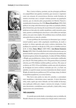 C E D E R J60
Evolução | A nova síntese evolutiva
Para a teoria evolutiva, portanto, um dos principais problemas
era compatibilizar uma genética atomística, que encarava o organismo
como um conjunto de características discretas sendo herdadas de
maneira invariante com a variação contínua presente nas populações
naturais, que era descrita pelos pesquisadores de História Natural e
estudada pelos biometristas. Em 1918, RONALD AYLMER FISHER (1890-1962)
publicou um artigo onde demonstrava que todos os resultados obtidos,
pelos biometristas, para herança de características de variação contínua
poderiam ser derivados do modelo mendeliano, sendo necessário, para
tanto, assumir a contribuição de vários locos e vários alelos com interação
aditiva, nos casos mais simples. Um problema estava resolvido, menos
uma pedra havia no meio do caminho.
O outro problema dos darwinistas era demonstrar que a seleção
natural poderia operar sobre populações mendelianas, de modo a
produzir os efeitos esperados pela teoria evolutiva darwiniana. Este
problema foi resolvido na década de 1930, com os trabalhos teóricos
de R. A. Fisher, SEWALL WRIGHT (1889-1988) e JOHN BURDON SANDERSON
HALDANE (1892-1964). O trabalho destes três teóricos demonstrou que era
possível entender o processo evolutivo como um processo de mudança das
freqüências gênicas dentro das populações. As idéias de Fisher, Haldane
e Wright, que possibilitaram a síntese, foram sumarizadas e publicadas
por volta de 1930. Fisher publicou o livro The genetical theory of natural
selection, em 1930. Haldane também publicou um livro, The causes of
evolution, em 1932. O livro de Haldane contém uma série de palestras
de divulgação da teoria evolutiva realizadas por ele e, ao ﬁnal, um
apêndice, no qual ele resume sua teoria matemática da seleção natural.
Wright, de modo diverso, publicou em 1931 um longo artigo, Evolution
in mendelian populations, na revista Genetics.
Não havia mais pedra no meio do caminho; a contradição
entre mendelistas e darwinistas estava superada. A teoria darwinista
tinha, então, aquilo que estava faltando: um bom modelo de herança,
uma explicação sólida para origem e natureza da variação. A síntese
entre darwinismo e mendelismo estava realizada e, desde então, nunca
esqueceremos este acontecimento.
TRÊS GIGANTES
O caminho percorrido desde a contradição entre os trabalhos de
Mendel e Darwin até a teoria sintética da evolução ainda é controverso.
RONALD FISHER
Matemático inglês,
nascido em Londres,
em 1890, e um dos
pais da Teoria Sintética
da Evolução.
SEWALL WRIGHT
Geneticista americano
e um dos pais da
Teoria Sintética da
Evolução, na sua
vertente da genética de
populações.
JOHN HALDANE
Geneticista inglês, um
dos pais da Teoria
Sintética da Evolução.
 