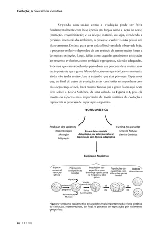 C E D E R J66
Evolução | A nova síntese evolutiva
Segunda conclusão: como a evolução pode ser feita
fundamentalmente com base apenas em forças como a ação do acaso
(mutação, recombinação) e da seleção natural, ou seja, atendendo a
pressões imediatas do ambiente, o processo evolutivo não possui um
planejamento. De fato, para gerar toda a biodiversidade observada hoje,
o processo evolutivo dependeu de um período de tempo muito longo e
de muitas extinções. Logo, idéias como aquelas geralmente associadas
ao processo evolutivo, como perfeição e progresso, não são adequadas.
Sabemos que estas conclusões perturbam um pouco (talvez muito), mas
era importante que a gente falasse delas, mesmo que você, neste momento,
ainda não tenha muito clara a extensão que elas possuem. Esperamos
que, ao ﬁnal do curso de evolução, estas conclusões se imponham com
mais segurança a você. Para resumir tudo o que a gente falou aqui neste
item sobre a Teoria Sintética, dê uma olhada na Figura 4.1, pois ela
mostra os aspectos mais importantes da teoria sintética da evolução e
representa o processo de especiação alopátrica.
Figura 4.1: Resumo esquemático dos aspectos mais importantes da Teoria Sintética
da Evolução, representando, ao ﬁnal, o processo de especiação por isolamento
geográﬁco.
Produção dos variantes
Recombinação
Mutação
Migração
Pouco determinista
Adaptação por seleção natural
Especiação sem tônica adaptativa
Escolha dos variantes
Seleção Natural
Deriva Genética
Especiação Alopátrica
Espécie
ancestral
variação
gênica
Populações
co-especíﬁcas
isoladas
Populações co-
especíﬁcas com
diferença signiﬁcativa
na freqüência dos
genes
Populações co-
especíﬁcas com
diferentes genes
ﬁxados
Espécies
descendentes
TEORIA SINTÉTICA
Isolamento
geográﬁco
Migração
Recombinação
Mutação
SN
DG
SN
DG
Seleção
Natural (SN)
Deriva
Genética (DG)
 