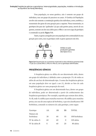 74 C E D E R J
Evolução| Freqüências gênicas e genotípicas, heterozigosidade, populações, modelos e introdução
ao Equilíbrio de Hardy-Weinberg
Uma população, no senso genético, não é somente um grupo de
indivíduos, mas um grupo de parceiros ou casais. A Genética de Populações
envolve não somente a constituição genética dos indivíduos, como, também, a
transmissão dos genes de uma geração para a seguinte. Nessa transmissão, os
genótipos dos pais são 'quebrados' (já que cada genitor passa, através de seu
gameta, somente um dos seus alelos para o ﬁlho) e um novo jogo de genótipos
é constituído na prole (Figura 5.4).
Assim,osgenescarregadosporumapopulaçãotêmcontinuidadedeuma
geração para outra, mas os genótipos onde os genes aparecem não têm.
Figura 5.4: Esquema de um cruzamento mostrando os dois indivíduos parentais (mãe
1 e pai 2) e a prole (ﬁlho 3, ﬁlho 4 e ﬁlha 5), com os genótipos identiﬁcados.
FREQÜÊNCIAS GÊNICAS
A freqüência gênica ou alélica de um determinado alelo, dentre
um grupo de indivíduos, é deﬁnida como a proporção (%) de todos os
alelos de um loco de determinado tipo. A soma das freqüências gênicas
em uma população deve ser igual a um (1), devido ao fato de cada
freqüência gênica ser uma proporção do total.
A freqüência gênica em um determinado loco, dentre um grupo
de indivíduos, pode ser determinada a partir do conhecimento das
freqüências genotípicas. Por exemplo, suponha que existam dois alelos,
A e B, onde A codiﬁca para manchas marrons e B codiﬁca para manchas
pretas, nas asas de uma espécie de borboleta, e que nós classiﬁcamos 100
borboletas, contando os números de cada genótipo, como segue:
Aa Aa
Aa aa AA
1 2
3 4 5
Ambos os pais
produzem gametas
dos tipos A e a.
Genótipo AA AB BB TOTAL
Número de
borboletas 30 60 10 100 borboletas
Nº de alelos A 60 60 0 120 alelos
Nº de alelos B 0 60 20 80 alelos
 