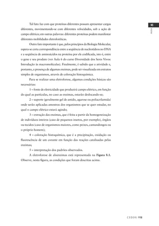 C E D E R J 113
AULA
8
Tal fato faz com que proteínas diferentes possam apresentar cargas
diferentes, movimentando-se com diferentes velocidades, sob a ação de
campo elétrico; em outras palavras: diferentes proteínas podem manifestar
diferentes mobilidades eletroforéticas.
Outro fato importante é que, pelos princípios da Biologia Molecular,
espera-se certa correspondência entre a seqüência de nucleotídeos no DNA
e a seqüência de aminoácidos na proteína por ele codiﬁcada, isto é, entre
o gene e seu produto (ver Aula 6 do curso Diversidade dos Seres Vivos:
Introdução às macromoléculas). Finalmente, é sabido que a atividade e,
portanto, a presença de algumas enzimas, pode ser visualizada em extratos
simples de organismos, através de coloração histoquímica.
Para se realizar uma eletroforese, algumas condições básicas são
necessárias:
1 – fonte de eletricidade que produzirá campo elétrico, em função
do qual as partículas, no caso as enzimas, estarão deslocando-se;
2 – suporte (geralmente gel de amido, agarose ou poliacrilamida)
onde serão aplicadas amostras dos organismos que se quer estudar, no
qual o campo elétrico estará agindo;
3 – extração das enzimas, que é feita a partir da homogeneização
de indivíduos inteiros (caso de pequenos insetos, por exemplo), órgãos
ou tecidos (caso de organismos maiores, como peixes, camundongos ou
o próprio homem);
4 – coloração histoquímica, que é a precipitação, oxidação ou
ﬂuorescência de um corante em função das reações catalisadas pelas
enzimas;
5 – interpretação dos padrões observados.
A eletroforese de aloenzimas está representada na Figura 8.1.
Observe, nesta ﬁgura, as condições que foram descritas acima.
 