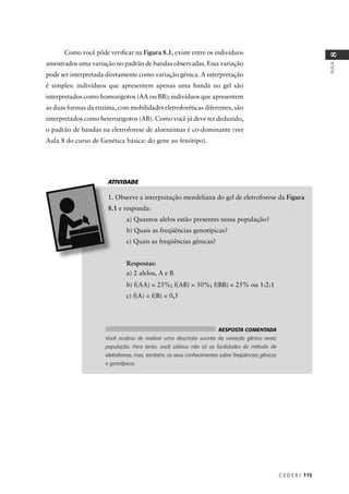 C E D E R J 115
AULA
8
Como você pôde veriﬁcar na Figura 8.1, existe entre os indivíduos
amostrados uma variação no padrão de bandas observadas. Essa variação
pode ser interpretada diretamente como variação gênica. A interpretação
é simples: indivíduos que apresentem apenas uma banda no gel são
interpretados como homozigotos (AA ou BB); indivíduos que apresentem
as duas formas da enzima, com mobilidades eletroforéticas diferentes, são
interpretados como heterozigotos (AB). Como você já deve ter deduzido,
o padrão de bandas na eletroforese de aloenzimas é co-dominante (ver
Aula 8 do curso de Genética básica: do gene ao fenótipo).
Figura
e responda:
a) Quantos alelos estão presentes nessa população?
b) Quais as freqüências genotípicas?
c) Quais as freqüências gênicas?
Respostas:
a) 2 alelos, A e B
b) f(AA) = 25%; f(AB) = 50%; f(BB) = 25% ou 1:2:1
c) f(A) = f(B) = 0,5
ATIVIDADE
RESPOSTA COMENTADA
Você acabou de realizar uma descrição sucinta da variação gênica nesta
população. Para tanto, você utilizou não só as facilidades do método de
eletroforese, mas, também, os seus conhecimentos sobre freqüências gênicas
e genotípicas.
 