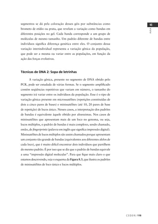 C E D E R J 119
AULA
8
segmentos se dá pela coloração desses géis por substâncias como
brometo de etídio ou prata, que revelam a variação como bandas em
diferentes posições no gel. Cada banda corresponde a um grupo de
moléculas de mesmo tamanho. Um padrão diferente de bandas entre
indivíduos signiﬁca diferença genética entre eles. O conjunto dessa
variação interindividual representa a variação gênica da população,
que pode ser a mesma ou variar entre as populações, em função da
ação das forças evolutivas.
Técnicas de DNA 2: Sopa de letrinhas
A variação gênica, presente no segmento de DNA obtido pelo
PCR, pode ser estudada de várias formas. Se o segmento ampliﬁcado
contém seqüências repetitivas que variam em número, o tamanho do
segmento irá variar entre os indivíduos da população. Esse é o tipo de
variação gênica presente em microssatélites (repetições constituídas de
dois a cinco pares de bases) e minissatélites (até 10, 20 pares de base
de repetição) de locos único. Nesses casos, a interpretação dos padrões
de bandas é equivalente àquele obtido por aloenzimas. Nos casos de
minissatélites que apresentam mais de um loco no genoma, ou seja,
locos múltiplos, o padrão de bandas é mais complexo, sendo chamado,
então, de ﬁngerprints (palavra em inglês que signiﬁca impressão digital).
Minissatélites de locos múltiplos são assim chamados porque apresentam
um conjunto tão grande de bandas (equivalentes aos diferentes alelos de
cada loco), que é muito difícil encontrar dois indivíduos que partilhem
do mesmo padrão. É por isso que se diz que o padrão de bandas equivale
a uma “impressão digital molecular”. Para que ﬁque mais claro o que
estamos descrevendo, veja o esquema da Figura 8.3, que ilustra os padrões
de minissatélites de loco único e locos múltiplos.
 
