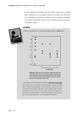 122 C E D E R J
Evolução | Marcadores moleculares no estudo da Evolução
dos três padrões representados: AB, AC ou BC. Assim, para o exemplo
dado, poderemos ter seis padrões distintos de bandas, que equivalem
aos seis genótipos possíveis, se considerarmos os três padrões haplóides
como alelos: AA, BB, CC, AB, AC e BC. Entendeu? Então, tente realizar
a atividade a seguir.
Qual é o genótipo dos três indivíduos representados na Figura 8.5?
ATIVIDADE
RESPOSTA COMENTADA
Você identiﬁcou que os três indivíduos são heterozigotos. O primeiro indivíduo
(AB) e o segundo (AC) apresentam número de bandas que é igual à soma do
número de bandas de cada um dos alelos. O terceiro indivíduo (BC) apresenta
uma banda a menos do que a soma do número de bandas de cada um dos
alelos. Isso se dá porque os alelos B e C apresentam banda de mesmo tamanho;
logo, essas bandas apresentam a mesma mobilidade eletroforética.
Figura 8.5: Esquema representando a separação dos frag-
mentos de restrição em um suporte (gel de agarose ou
poliacrilamida) e seus respectivos tamanhos em kb. MM
é um marcador molecular que apresenta um conjunto de
bandas com tamanhos conhecidos.
Indivíduos
 