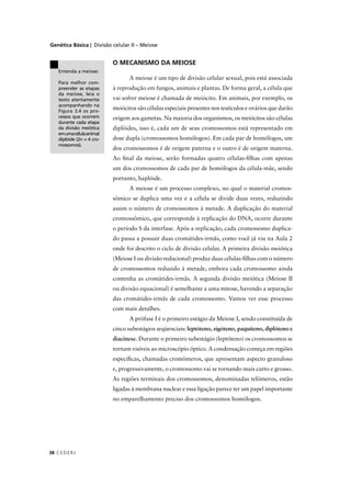 Genética Básica | Divisão celular II – Meiose
C EDERJ38
O MECANISMO DA MEIOSE
A meiose é um tipo de divisão celular sexual, pois está associada
à reprodução em fungos, animais e plantas. De forma geral, a célula que
vai sofrer meiose é chamada de meiócito. Em animais, por exemplo, os
meiócitos são células especiais presentes nos testículos e ovários que darão
origem aos gametas. Na maioria dos organismos, os meiócitos são células
diplóides, isso é, cada um de seus cromossomos está representado em
dose dupla (cromossomos homólogos). Em cada par de homólogos, um
dos cromossomos é de origem paterna e o outro é de origem materna.
Ao ﬁnal da meiose, serão formadas quatro células-ﬁlhas com apenas
um dos cromossomos de cada par de homólogos da célula-mãe, sendo
portanto, haplóide.
A meiose é um processo complexo, no qual o material cromos-
sômico se duplica uma vez e a célula se divide duas vezes, reduzindo
assim o número de cromossomos à metade. A duplicação do material
cromossômico, que corresponde à replicação do DNA, ocorre durante
o período S da interfase. Após a replicação, cada cromossomo duplica-
do passa a possuir duas cromátides-irmãs, como você já viu na Aula 2
onde foi descrito o ciclo de divisão celular. A primeira divisão meiótica
(Meiose I ou divisão reducional) produz duas células-ﬁlhas com o número
de cromossomos reduzido à metade, embora cada cromossomo ainda
contenha as cromátides-irmãs. A segunda divisão meiótica (Meiose II
ou divisão equacional) é semelhante a uma mitose, havendo a separação
das cromátides-irmãs de cada cromossomo. Vamos ver esse processo
com mais detalhes.
A prófase I é o primeiro estágio da Meiose I, sendo constituída de
cinco subestágios seqüenciais: leptóteno, zigóteno, paquíteno, diplóteno e
diacinese. Durante o primeiro subestágio (leptóteno) os cromossomos se
tornam visíveis ao microscópio óptico. A condensação começa em regiões
especíﬁcas, chamadas cromômeros, que apresentam aspecto granuloso
e, progressivamente, o cromossomo vai se tornando mais curto e grosso.
As regiões terminais dos cromossomos, denominadas telômeros, estão
ligadas à membrana nuclear e essa ligação parece ter um papel importante
no emparelhamento preciso dos cromossomos homólogos.
Entenda a meiose:
Para melhor com-
preender as etapas
da meiose, leia o
texto atentamente
acompanhando na
Figura 3.4 os pro-
cessos que ocorrem
durante cada etapa
da divisão meiótica
emumacélulaanimal
diplóide (2n = 4 cro-
mossomos).
!
 