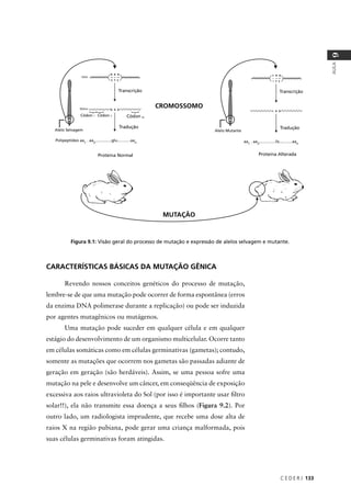 C E D E R J 133
AULA
9
Figura 9.1: Visão geral do processo de mutação e expressão de alelos selvagem e mutante.
CARACTERÍSTICAS BÁSICAS DA MUTAÇÃO GÊNICA
Revendo nossos conceitos genéticos do processo de mutação,
lembre-se de que uma mutação pode ocorrer de forma espontânea (erros
da enzima DNA polimerase durante a replicação) ou pode ser induzida
por agentes mutagênicos ou mutágenos.
Uma mutação pode suceder em qualquer célula e em qualquer
estágio do desenvolvimento de um organismo multicelular. Ocorre tanto
em células somáticas como em células germinativas (gametas); contudo,
somente as mutações que ocorrem nos gametas são passadas adiante de
geração em geração (são herdáveis). Assim, se uma pessoa sofre uma
mutação na pele e desenvolve um câncer, em conseqüência de exposição
excessiva aos raios ultravioleta do Sol (por isso é importante usar ﬁltro
solar!!), ela não transmite essa doença a seus ﬁlhos (Figura 9.2). Por
outro lado, um radiologista imprudente, que recebe uma dose alta de
raios X na região pubiana, pode gerar uma criança malformada, pois
suas células germinativas foram atingidas.
Transcrição
Tradução
Códon nCódon 2Códon 1
Alelo Selvagem
Polipeptídeo aa1
. aa2
...............glu............aan
Proteína Normal
Alelo Mutante
Transcrição
Tradução
aa1
. aa2
...............lis............aan
MUTAÇÃO
CROMOSSOMO
Proteína Alterada
 