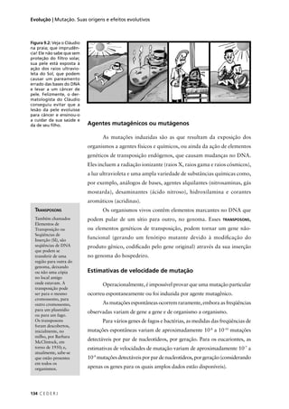 134 C E D E R J
Evolução | Mutação. Suas origens e efeitos evolutivos
Figura 9.2: Veja o Cláudio
na praia; que imprudên-
cia! Ele não sabe que sem
proteção do ﬁltro solar,
sua pele está exposta à
ação dos raios ultravio-
leta do Sol, que podem
causar um pareamento
errado das bases do DNA
e levar a um câncer de
pele. Felizmente, o der-
matologista do Cláudio
conseguiu evitar que a
lesão da pele evoluísse
para câncer e ensinou-o
a cuidar da sua saúde e
da de seu ﬁlho. Agentes mutagênicos ou mutágenos
As mutações induzidas são as que resultam da exposição dos
organismos a agentes físicos e químicos, ou ainda da ação de elementos
genéticos de transposição endógenos, que causam mudanças no DNA.
Eles incluem a radiação ionizante (raios X, raios gama e raios cósmicos),
a luz ultravioleta e uma ampla variedade de substâncias químicas como,
por exemplo, análogos de bases, agentes alquilantes (nitrosaminas, gás
mostarda), desaminantes (ácido nitroso), hidroxilamina e corantes
aromáticos (acridinas).
Os organismos vivos contêm elementos marcantes no DNA que
podem pular de um sítio para outro, no genoma. Esses TRANSPOSONS,
ou elementos genéticos de transposição, podem tornar um gene não-
funcional (gerando um fenótipo mutante devido à modiﬁcação do
produto gênico, codiﬁcado pelo gene original) através da sua inserção
no genoma do hospedeiro.
Estimativas de velocidade de mutação
Operacionalmente, é impossível provar que uma mutação particular
ocorreu espontaneamente ou foi induzida por agente mutagênico.
As mutações espontâneas ocorrem raramente, embora as freqüências
observadas variam de gene a gene e de organismo a organismo.
Para vários genes de fagos e bactérias, as medidas das freqüências de
mutações espontâneas variam de aproximadamente 10-8
a 10-10
mutações
detectáveis por par de nucleotídeos, por geração. Para os eucariontes, as
estimativas de velocidades de mutação variam de aproximadamente 10-7
a
10-9
mutaçõesdetectáveisporpardenucleotídeos,porgeração(considerando
apenas os genes para os quais amplos dados estão disponíveis).
TRANSPOSONS
Também chamados
Elementos de
Transposição ou
Seqüências de
Inserção (SI), são
seqüências de DNA
que podem se
transferir de uma
região para outra do
genoma, deixando
ou não uma cópia
no local antigo
onde estavam. A
transposição pode
ser para o mesmo
cromossomo, para
outro cromossomo,
para um plasmídio
ou para um fago.
Os transposons
foram descobertos,
inicialmente, no
milho, por Barbara
McClintock, em
torno de 1950; e,
atualmente, sabe-se
que estão presentes
em todos os
organismos.
 