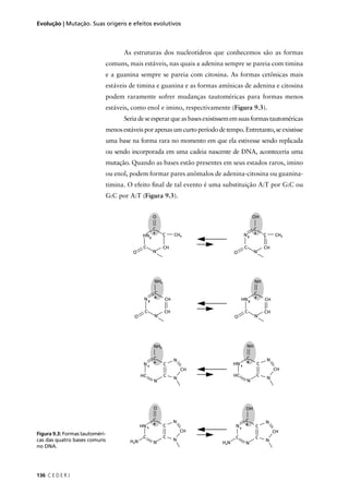 136 C E D E R J
Evolução | Mutação. Suas origens e efeitos evolutivos
As estruturas dos nucleotídeos que conhecemos são as formas
comuns, mais estáveis, nas quais a adenina sempre se pareia com timina
e a guanina sempre se pareia com citosina. As formas cetônicas mais
estáveis de timina e guanina e as formas amínicas de adenina e citosina
podem raramente sofrer mudanças tautoméricas para formas menos
estáveis, como enol e imino, respectivamente (Figura 9.3).
Seriadeseesperarqueasbasesexistissememsuasformastautoméricas
menosestáveisporapenasumcurtoperíododetempo.Entretanto,seexistisse
uma base na forma rara no momento em que ela estivesse sendo replicada
ou sendo incorporada em uma cadeia nascente de DNA, aconteceria uma
mutação. Quando as bases estão presentes em seus estados raros, imino
ou enol, podem formar pares anômalos de adenina-citosina ou guanina-
timina. O efeito ﬁnal de tal evento é uma substituição A:T por G:C ou
G:C por A:T (Figura 9.3).
Figura 9.3: Formas tautoméri-
cas das quatro bases comuns
no DNA.
 