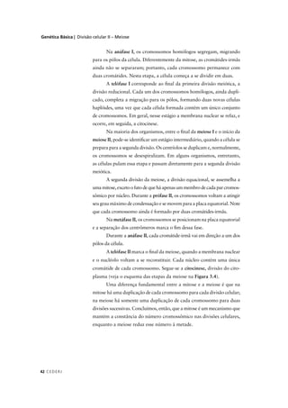 Genética Básica | Divisão celular II – Meiose
C EDERJ42
Na anáfase I, os cromossomos homólogos segregam, migrando
para os pólos da célula. Diferentemente da mitose, as cromátides-irmãs
ainda não se separaram; portanto, cada cromossomo permanece com
duas cromátides. Nesta etapa, a célula começa a se dividir em duas.
A telófase I corresponde ao ﬁnal da primeira divisão meiótica, a
divisão reducional. Cada um dos cromossomos homólogos, ainda dupli-
cado, completa a migração para os pólos, formando duas novas células
haplóides, uma vez que cada célula formada contém um único conjunto
de cromossomos. Em geral, nesse estágio a membrana nuclear se refaz, e
ocorre, em seguida, a citocinese.
Na maioria dos organismos, entre o ﬁnal da meiose I e o início da
meiose II, pode-se identiﬁcar um estágio intermediário, quando a célula se
prepara para a segunda divisão. Os centríolos se duplicam e, normalmente,
os cromossomos se desespiralizam. Em alguns organismos, entretanto,
as células pulam essa etapa e passam diretamente para a segunda divisão
meiótica.
A segunda divisão da meiose, a divisão equacional, se assemelha a
uma mitose, exceto o fato de que há apenas um membro de cada par cromos-
sômico por núcleo. Durante a prófase II, os cromossomos voltam a atingir
seu grau máximo de condensação e se movem para a placa equatorial. Note
que cada cromossomo ainda é formado por duas cromátides-irmãs.
Na metáfase II, os cromossomos se posicionam na placa equatorial
e a separação dos centrômeros marca o ﬁm dessa fase.
Durante a anáfase II, cada cromátide-irmã vai em direção a um dos
pólos da célula.
A telófase II marca o ﬁnal da meiose, quando a membrana nuclear
e o nucléolo voltam a se reconstituir. Cada núcleo contém uma única
cromátide de cada cromossomo. Segue-se a citocinese, divisão do cito-
plasma (veja o esquema das etapas da meiose na Figura 3.4).
Uma diferença fundamental entre a mitose e a meiose é que na
mitose há uma duplicação de cada cromossomo para cada divisão celular;
na meiose há somente uma duplicação de cada cromossomo para duas
divisões sucessivas. Concluímos, então, que a mitose é um mecanismo que
mantém a constância do número cromossômico nas divisões celulares,
enquanto a meiose reduz esse número à metade.
 