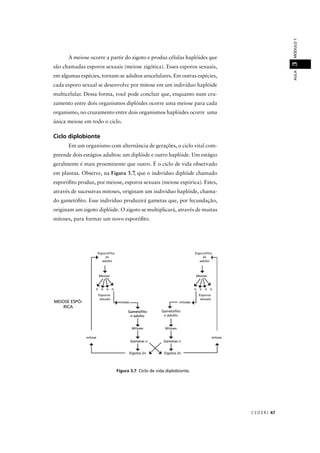 CEDER J 47
AULAMÓDULO13
A meiose ocorre a partir do zigoto e produz células haplóides que
são chamadas esporos sexuais (meiose zigótica). Esses esporos sexuais,
em algumas espécies, tornam-se adultos unicelulares. Em outras espécies,
cada esporo sexual se desenvolve por mitose em um indivíduo haplóide
multicelular. Dessa forma, você pode concluir que, enquanto num cru-
zamento entre dois organismos diplóides ocorre uma meiose para cada
organismo, no cruzamento entre dois organismos haplóides ocorre uma
única meiose em todo o ciclo.
Ciclo diplobionte
Em um organismo com alternância de gerações, o ciclo vital com-
preende dois estágios adultos: um diplóide e outro haplóide. Um estágio
geralmente é mais proeminente que outro. É o ciclo de vida observado
em plantas. Observe, na Figura 3.7, que o indivíduo diplóide chamado77
esporóﬁto produz, por meiose, esporos sexuais (meiose espórica). Estes,
através de sucessivas mitoses, originam um indivíduo haplóide, chama-
do gametóﬁto. Esse indivíduo produzirá gametas que, por fecundação,
originam um zigoto diplóide. O zigoto se multiplicará, através de muitas
mitoses, para formar um novo esporóﬁto.
Esporófito
2n
adulto
Meiose
Esporos
sexuais
mitoses
n n n n
Gametóﬁto
n adulto
Mitoses Mitoses
mitosemitose
Meiose
Esporófito
2n
adulto
Esporos
sexuais
n n n n
mitoses
GametóﬁtoGametóﬁto
n adulton adulto
Gametas n Gametas n
Zigotos 2n Zigotos 2n
MEIOSE ESPÓ-
RICA
Figura 3.7: Ciclo de vida diplobionte.
 