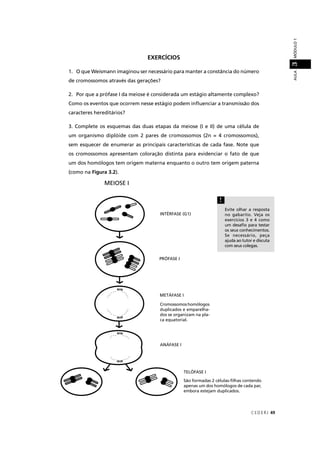 CEDER J 49
AULAMÓDULO13
EXERCÍCIOS
1. O que Weismann imaginou ser necessário para manter a constância do número
de cromossomos através das gerações?
2. Por que a prófase I da meiose é considerada um estágio altamente complexo?
Como os eventos que ocorrem nesse estágio podem inﬂuenciar a transmissão dos
caracteres hereditários?
3. Complete os esquemas das duas etapas da meiose (I e II) de uma célula de
um organismo diplóide com 2 pares de cromossomos (2n = 4 cromossomos),
sem esquecer de enumerar as principais características de cada fase. Note que
os cromossomos apresentam coloração distinta para evidenciar o fato de que
um dos homólogos tem origem materna enquanto o outro tem origem paterna
(como na Figura 3.2).
!
Evite olhar a resposta
no gabarito. Veja os
exercícios 3 e 4 como
um desaﬁo para testar
os seus conhecimentos.
Se necessário, peça
ajuda ao tutor e discuta
com seus colegas.
METÁFASE I
Cromossomos homólogos
duplicados e emparelha-
dos se organizam na pla-
ca equatorial.
MEIOSE I
PRÓFASE I
INTÉRFASE (G1)
ANÁFASE I
TELÓFASE I
São formadas 2 células-ﬁlhas contendo
apenas um dos homólogos de cada par,
embora estejam duplicados.
 