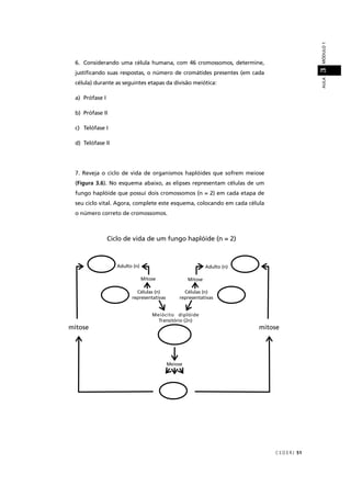 CEDER J 51
AULAMÓDULO13
6. Considerando uma célula humana, com 46 cromossomos, determine,
justiﬁcando suas respostas, o número de cromátides presentes (em cada
célula) durante as seguintes etapas da divisão meiótica:
a) Prófase I
b) Prófase II
c) Telófase I
d) Telófase II
7. Reveja o ciclo de vida de organismos haplóides que sofrem meiose
(Figura 3.6). No esquema abaixo, as elipses representam células de um
fungo haplóide que possui dois cromossomos (n = 2) em cada etapa de
seu ciclo vital. Agora, complete este esquema, colocando em cada célula
o número correto de cromossomos.
Ciclo de vida de um fungo haplóide (n = 2)
mitose mitose
Meiose
Meiócito diplóide
Transitório (2n)
Células (n)
representativas
Mitose
Células (n)
representativas
Mitose
Adulto (n) Adulto (n)
 