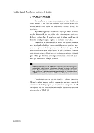Genética Básica | Mendelismo: o nascimento da Genética
C E D E R J66
A HIPÓTESE DE MENDEL
Esta semelhança no comportamento de características tão diferentes
como posição da ﬂor e cor das sementes levou Mendel à conclusão
de que deveria existir algum tipo de lei geral regendo a herança dos
caracteres.
Agora Mendel precisava inventar uma explicação para os resultados
obtidos. Inventar? É, ter um palpite sobre o que estaria acontecendo.
Podemos também dizer de uma forma mais cientíﬁca: Mendel deveria
formular uma hipótese para explicar os resultados observados.
Para Mendel, as plantas possuíam fatores que determinavam suas
características hereditárias e eram transmitidos de uma geração a outra
através dos gametas. Ele imaginou que uma planta teria vagem inﬂada
ou deprimida se recebesse fatores de uma ou outra característica. Mendel
representou seus fatores hipotéticos por letras, usando a forma maiúscula
para o fator que determina o fenótipo dominante e a minúscula para o
fator que determina o fenótipo recessivo.
Os fatores de hereditariedade de Mendel são denominados atualmente genes.
Os genes são segmentos das moléculas de DNA que constituem os cromos-
somos. Os fatores determinantes dos estados contrastantes de uma mesma
característica são o resultado de pequenas variações de um mesmo segmento
de DNA. Mas isso nós veremos com detalhe em aulas posteriores.
!
Considerando apenas uma característica, a forma da vagem,
Mendel propôs o seguinte modelo para explicar por que, a partir do
cruzamento das linhagens puras, se obteria na F2 a proporção de 3:1.
Acompanhe o texto, observando os resultados apresentados para essa
característica na Tabela 4.4.
 