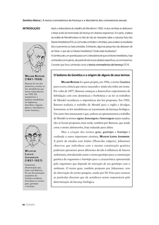 Genética Básica | A teoria cromossômica da herança e a descoberta dos cromossomos sexuais
C E D E R J94
Após a redescoberta do trabalho de Mendel em 1900, muitos cientistas se dedicaram
a testar as leis da transmissão da herança em diversos organismos. Em parte, a beleza
da análise de Mendel estava no fato de não ser necessário saber a natureza física dos
fatoreshereditários(FH),oucomoelescontrolamofenótipo,paraanalisarosresultados
doscruzamentosoufazerprevisões.Entretanto,algumasperguntasnãodeixavamde
ser feitas: o que são os fatores hereditários? Onde estão localizados?
AGenéticadeuumgrandepassocomadescobertadequeosfatoreshereditários,hoje
conhecidoscomogenes,sãopartedeestruturascelularesespecíﬁcas,oscromossomos.
Conceito que ﬁcou conhecido como a teoria cromossômica da herança (TCH).
INTRODUÇÃO
O batismo da Genética e a origem de alguns de seus termos
WILLIAM BATESON foi quem propôs, em 1906, o termo Genética
para a nova ciência que estava nascendo e ainda não tinha um nome.
Por volta de 1897, Bateson começou a desenvolver experimentos de
hibridação com aves domésticas e borboletas e ao ler os trabalhos
de Mendel reconheceu a importância das leis propostas. Em 1902,
Bateson traduziu o trabalho de Mendel para o inglês e divulgou
fortemente as leis mendelianas na transmissão da herança biológica.
Um outro fato interessante é que, embora ao apresentarmos o trabalho
de Mendel os termos zigoto, homozigoto e heterozigoto sejam usados,
eles só foram propostos mais tarde, também por Bateson, que ainda
criou o termo alelomorfos, hoje reduzido para alelos.
Mas a criação dos termos gene, genótipo e fenótipo é
creditada a outro importante cientista, WILHELM LUDVIG JOHANNSEN.
A partir de estudos com feijões (Phaseolus vulgaris), Johannsen
observou que indivíduos com a mesma constituição genética
poderiam apresentar pesos diferentes devido à inﬂuência de fatores
ambientais, introduzindo assim o termo genótipo para a constituição
genética do organismo e fenótipo para a característica apresentada
pelo organismo que depende da interação de seu genótipo com o
ambiente. O termo gene, também proposto por Johannsen, veio
da abreviação do termo pangene, usado por De Vries para nomear
as partículas discretas que ele acreditava serem responsáveis pela
determinação da herança biológica.
WILLIAM BATESON
(1861-1926)
Bateson foi um dos
primeiros a aceitar as
leis mendelianas que
foram redescobertas
em 1900. Ele
popularizou a
genética mendeliana
na Inglaterra,
descobriu a ligação
gênica e introduziu o
termo Genética.
WILHELM
LUDVIG
JOHANNSEN
(1857-1927)
Geneticista
dinamarquês que,
junto com Bateson,
foi um dos principais
arquitetos da
Genética moderna.
Introduziu os termos
gene, genótipo
e fenótipo.
 