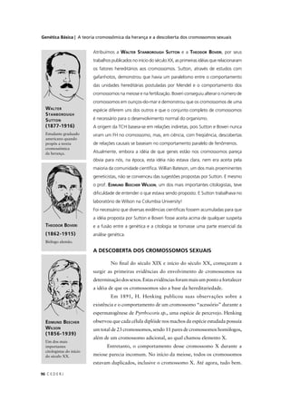 Genética Básica | A teoria cromossômica da herança e a descoberta dos cromossomos sexuais
C E D E R J96
A DESCOBERTA DOS CROMOSSOMOS SEXUAIS
No ﬁnal do século XIX e início do século XX, começaram a
surgir as primeiras evidências do envolvimento de cromossomos na
determinaçãodossexos.Estasevidênciasforammaisumpontoafortalecer
a idéia de que os cromossomos são a base da hereditariedade.
Em 1891, H. Henking publicou suas observações sobre a
existência e o comportamento de um cromossomo “acessório” durante a
espermatogênese de Pyrrhocoris sp., uma espécie de percevejo. Henking
observou que cada célula diplóide nos machos da espécie estudada possuía
um total de 23 cromossomos, sendo 11 pares de cromossomos homólogos,
além de um cromossomo adicional, ao qual chamou elemento X.
Entretanto, o comportamento desse cromossomo X durante a
meiose parecia incomum. No início da meiose, todos os cromossomos
estavam duplicados, inclusive o cromossomo X. Até agora, tudo bem.
Atribuímos a WALTER STANBOROUGH SUTTON e a THEODOR BOVERI, por seus
trabalhos publicados no início do século XX, as primeiras idéias que relacionaram
os fatores hereditários aos cromossomos. Sutton, através de estudos com
gafanhotos, demonstrou que havia um paralelismo entre o comportamento
das unidades hereditárias postuladas por Mendel e o comportamento dos
cromossomos na meiose e na fertilização. Boveri conseguiu alterar o número de
cromossomos em ouriços-do-mar e demonstrou que os cromossomos de uma
espécie diferem uns dos outros e que o conjunto completo de cromossomos
é necessário para o desenvolvimento normal do organismo.
A origem da TCH baseia-se em relações indiretas, pois Sutton e Boveri nunca
viram um FH no cromossomo, mas, em ciência, com freqüência, descobertas
de relações causais se baseiam no comportamento paralelo de fenômenos.
Atualmente, embora a idéia de que genes estão nos cromossomos pareça
óbvia para nós, na época, esta idéia não estava clara, nem era aceita pela
maioria da comunidade cientíﬁca. Willian Bateson, um dos mais proeminentes
geneticistas, não se convenceu das sugestões propostas por Sutton. E mesmo
o prof. EDMUND BEECHER WILSON, um dos mais importantes citologistas, teve
diﬁculdade de entender o que estava sendo proposto. E Sutton trabalhava no
laboratório de Wilson na Columbia University!
Foi necessário que diversas evidências cientíﬁcas fossem acumuladas para que
a idéia proposta por Sutton e Boveri fosse aceita acima de qualquer suspeita
e a fusão entre a genética e a citologia se tornasse uma parte essencial da
análise genética.
WALTER
STANBOROUGH
SUTTON
(1877-1916)
Estudante graduado
americano quando
propôs a teoria
cromossômica
da herança.
THEODOR BOVERI
(1862-1915)
Biólogo alemão.
EDMUND BEECHER
WILSON
(1856-1939)
Um dos mais
importantes
citologistas do início
do século XX.
 
