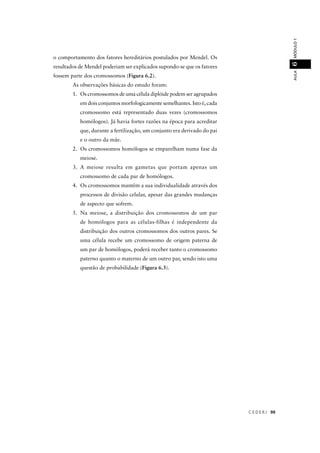 C E D E R J 99
AULAMÓDULO16
o comportamento dos fatores hereditários postulados por Mendel. Os
resultados de Mendel poderiam ser explicados supondo-se que os fatores
fossem parte dos cromossomos (Figura 6.2).
As observações básicas do estudo foram:
1. Os cromossomos de uma célula diplóide podem ser agrupados
em dois conjuntos morfologicamente semelhantes. Isto é, cada
cromossomo está representado duas vezes (cromossomos
homólogos). Já havia fortes razões na época para acreditar
que, durante a fertilização, um conjunto era derivado do pai
e o outro da mãe.
2. Os cromossomos homólogos se emparelham numa fase da
meiose.
3. A meiose resulta em gametas que portam apenas um
cromossomo de cada par de homólogos.
4. Os cromossomos mantêm a sua individualidade através dos
processos de divisão celular, apesar das grandes mudanças
de aspecto que sofrem.
5. Na meiose, a distribuição dos cromossomos de um par
de homólogos para as células-filhas é independente da
distribuição dos outros cromossomos dos outros pares. Se
uma célula recebe um cromossomo de origem paterna de
um par de homólogos, poderá receber tanto o cromossomo
paterno quanto o materno de um outro par, sendo isto uma
questão de probabilidade (Figura 6.3).
 