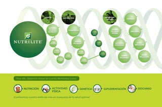 NUTRI-
GENÓMICA
CIENCIA NATURALEZA
RANCHO
EL PETACAL
JALISCO,
MÉXICO
UBAJARA
CEARÁ,
BRASIL
TROUT LAKE
WASHINGTON,
USA
INSTITUTO
DE SALUD
NUTRILITE™
ALIANZAS
ESTRATÉGICAS
GABINETE
DE ASESORES
CIENTÍFICOS
GRANJAS
ORGÁNICAS
GRANJAS
SUSTENTABLES
INVESTIG-
ACIÓN
FITONUTRIENTES
GRANJAS
NUTRILITE™
BIENESTAR
ÓPTIMO
NUTRICIÓN
APROPIADA
CENTRO
DE SALUD
ÓPTIMA
CUERPO
SALUDABLE
EJERCICIO
DESCANSO
SUPLE-
MENTACIÓN
PERSO-
NALIZACIÓN
Para ello, debemos tomar en cuenta elementos como:
¡Cambiemos nuestro estilo de vida en búsqueda de la salud óptima!
NUTRICIÓN ACTIVIDAD
FÍSICA
SUPLEMENTACIÓN DESCANSOGENÉTICA
 