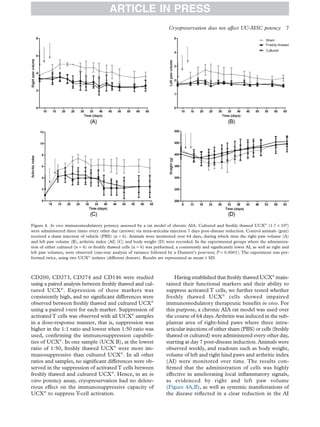 CD200, CD273, CD274 and CD146 were studied
using a paired analysis between freshly thawed and cul-
tured UCX®
. Expression of these markers was
consistently high, and no signiﬁcant differences were
observed between freshly thawed and cultured UCX®
using a paired t-test for each marker. Suppression of
activatedT cells was observed with all UCX®
samples
in a dose-response manner, that is, suppression was
higher in the 1:1 ratio and lowest when 1:50 ratio was
used, conﬁrming the immunosuppression capabili-
ties of UCX®
. In one sample (UCX B), at the lowest
ratio of 1:50, freshly thawed UCX®
were more im-
munosuppressive than cultured UCX®
. In all other
ratios and samples, no signiﬁcant differences were ob-
served in the suppression of activatedT cells between
freshly thawed and cultured UCX®
. Hence, in an in
vitro potency assay, cryopreservation had no delete-
rious effect on the immunosuppressive capacity of
UCX®
to suppress T-cell activation.
Having established that freshly thawed UCX®
main-
tained their functional markers and their ability to
suppress activated T cells, we further tested whether
freshly thawed UCX®
cells showed impaired
immunomodulatory therapeutic beneﬁts in vivo. For
this purpose, a chronic AIA rat model was used over
the course of 64 days.Arthritis was induced in the sub-
plantar area of right-hind paws where three intra-
articular injections of either sham (PBS) or cells (freshly
thawed or cultured) were administered every other day,
starting at day 7 post-disease induction.Animals were
observed weekly, and readouts such as body weight,
volume of left and right hind paws and arthritic index
(AI) were monitored over time. The results con-
ﬁrmed that the administration of cells was highly
effective in ameliorating local inﬂammatory signals,
as evidenced by right and left paw volume
(Figure 4A,B), as well as systemic manifestations of
the disease reﬂected in a clear reduction in the AI
Figure 4. In vivo immunomodulatory potency assessed by a rat model of chronic AIA. Cultured and freshly thawed UCX®
(1.7 × 106
)
were administered three times every other day (arrows) via intra-articular injection 7 days post–disease induction. Control animals (gray)
received a sham injection of vehicle (PBS) (n = 6). Animals were monitored over 64 days, during which time the right paw volume (A)
and left paw volume (B), arthritic index (AI) (C) and body weight (D) were recorded. In the experimental groups where the administra-
tion of either cultured (n = 6) or freshly thawed cells (n = 6) was performed, a consistently and signiﬁcantly lower AI, as well as right and
left paw volumes, were observed (one-way analysis of variance followed by a Dunnett’s post-test; P < 0.0001). The experiment was per-
formed twice, using two UCX®
isolates (different donors). Results are represented as mean ± SD.
ARTICLE IN PRESS
Cryopreservation does not affect UC-MSC potency 7
 