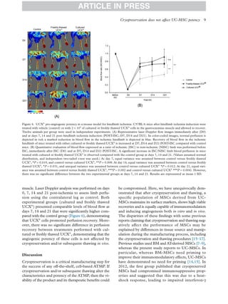 muscle. Laser Doppler analysis was performed on days
0, 7, 14 and 21 post-ischemia to assess limb perfu-
sion using the contralateral leg as control. Both
experimental groups (cultured and freshly thawed
UCX®
) presented comparable levels of blood ﬂow at
days 7, 14 and 21 that were signiﬁcantly higher com-
pared with the control group (Figure 6), demonstrating
that UCX®
cells promoted perfusion recovery. More-
over, there was no signiﬁcant difference in perfusion
recovery between treatments performed with cul-
tured or freshly thawed UCX®
, demonstrating that the
angiogenic potency of these cells is not affected by
cryopreservation and/or subsequent thawing in vivo.
Discussion
Cryopreservation is a critical manufacturing step for
the success of any off-the-shelf, cell-based ATMP. If
cryopreservation and/or subsequent thawing alter the
characteristics and potency of the ATMP, then the vi-
ability of the product and its therapeutic beneﬁts could
be compromised. Here, we have unequivocally dem-
onstrated that after cryopreservation and thawing, a
speciﬁc population of MSCs derived from UC-
MSCs maintains its surface markers, shows high viable
recoveries and is equally capable of immunomodulation
and inducing angiogenesis both in vitro and in vivo.
The disparities of these ﬁndings with some previous
reports claiming that cryopreservation and thawing neg-
atively affect the performance of MSCs may be
explained by differences in tissue source and manip-
ulation during the manufacturing process, including
the cryopreservation and thawing procedures [15–17].
Previous studies used BM and AT-derived MSCs [7–9],
whereas the present study reports to UC-MSCs. In
particular, whereas BM-MSCs need priming to
improve their immunomodulatory effects, UC-MSCs
have demonstrated no need for priming [14,15]. In
2012, the ﬁrst group published that cryopreserved
MSCs had compromised immunosuppressive prop-
erties and suggested that this was due to a heat-
shock response, leading to impaired interferon-γ
Figure 6. UCX®
pro-angiogenic potency in a mouse model for hindlimb ischemia. C57BL/6 mice after hindlimb ischemia induction were
treated with vehicle (control) or with 2 × 105
of cultured or freshly thawed UCX®
cells in the gastrocnemius muscle and allowed to recover.
Twelve animals per group were used in independent experiments. (A) Representative laser Doppler ﬂow images immediately after (D0)
and at days 7, 14 and 21 post–hindlimb ischemia induction (POST-ISC; D7, D14 and D21). In color-coded images, normal perfusion is
depicted in red; a marked reduction in blood ﬂow in the ischemic hindlimb is depicted in blue. Recovery of blood ﬂow in the ischemic
hindlimb of mice treated with either cultured or freshly thawed UCX®
is increased at D7, D14 and D21 POST-ISC compared with control
mice. (B) Quantitative evaluation of blood ﬂow expressed as a ratio of ischemic (ISC) to non-ischemic (NISC) limb was performed before
ISC, immediately after ISC (D0) and at D7, D14 and D21 POST-ISC. A signiﬁcant increase in ISC/NISC limb blood perfusion in mice
treated with cultured or freshly thawed UCX®
is observed compared with the control group at days 7, 14 and 21. (Values assumed normal
distribution, and independent two-tailed t-test was used.) At day 7, equal variance was assumed between control versus freshly thawed
UCX®
, *P = 0.019, and control versus cultured UCX®
, **P = 0.008. At day 14, equal variance was assumed between control versus freshly
thawed UCX®
, *P = 0.031, and unequal variance was assumed between control versus cultured UCX®
*P = 0.012. At day 21, equal vari-
ance was assumed between control versus freshly thawed UCX®
, ***P = 0.002 and control versus cultured UCX®
***P = 0.004). However,
there was no signiﬁcant difference between the two experimental groups at days 7, 14 and 21. Results are represented as mean ± SD.
ARTICLE IN PRESS
Cryopreservation does not affect UC-MSC potency 9
 