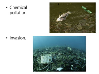 • Chemical
pollution.
• Invasion.
 