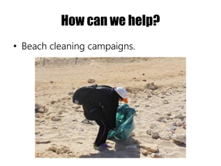 How can we help?
• Beach cleaning campaigns.
 