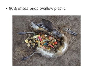 • 90% of sea birds swallow plastic.
 