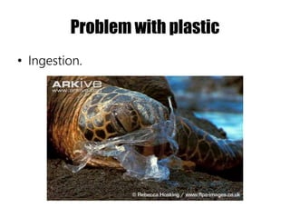 Problem with plastic
• Ingestion.
 