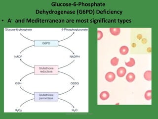Glucose-6-Phosphate  Dehydrogenase (G6PD) Deficiency A -   and Mediterranean are most significant types www.freelivedoctor.com 
