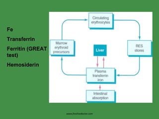 Fe Transferrin Ferritin (GREAT test) Hemosiderin www.freelivedoctor.com 