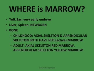 WHERE is MARROW? Yolk Sac: very early embryo Liver, Spleen: NEWBORN BONE CHILDHOOD: AXIAL SKELETON & APPENDICULAR SKELETON BOTH HAVE RED (active) MARROW ADULT: AXIAL SKELETON RED MARROW, APPENDICULAR SKELETON YELLOW MARROW www.freelivedoctor.com 