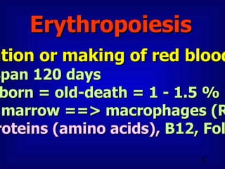 Erythropoiesis Formation or making of red blood cells Life-span 120 days New-born = old-death = 1 - 1.5 % Bone marrow ==> macrophages (RE cells) Fe, Proteins (amino acids),  B12, Folate, etc. 