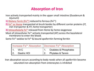 Absorption of Iron
Iron actively transported mainly in the upper small intestine (Duodenum &
Jejunum)
1) Dietary Ferric (Fe3+) reduced to ferrous (Fe2+)
2) Fe2+ or Heme transported at brush border by different carrier proteins (IT,
iron transporter & HT, heme transporter)
3) Intracellularly Fe2+ released from Heme by heme oxygenase
Most of intracellular Fe2+ actively transported (AT) across the basolateral
membrane to enter the blood.
Some Fe2+ oxidize to Fe3+ & bound apoferritin forming ferritin
Decrease Fe2+ AbsorptionIncrease Fe2+ Absorption
1. Oxalates & Phosphates
2. Phytates & Tannin
1. Vit C
2. Gastric HCl
Iron absorption occurs according to body needs when all apoferritin become
saturated iron absorption from enterocytes is inhibited
 