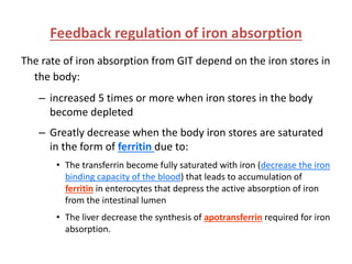 Feedback regulation of iron absorption
The rate of iron absorption from GIT depend on the iron stores in
the body:
– increased 5 times or more when iron stores in the body
become depleted
– Greatly decrease when the body iron stores are saturated
in the form of ferritin due to:
• The transferrin become fully saturated with iron (decrease the iron
binding capacity of the blood) that leads to accumulation of
ferritin in enterocytes that depress the active absorption of iron
from the intestinal lumen
• The liver decrease the synthesis of apotransferrin required for iron
absorption.
 
