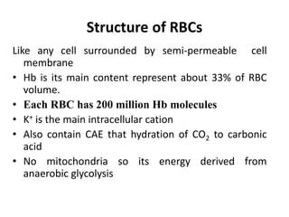 Structure of RBCs
Like any cell surrounded by semi-permeable cell
membrane
• Hb is its main content represent about 33% of RBC
volume.
• Each RBC has 200 million Hb molecules
• K+ is the main intracellular cation
• Also contain CAE that hydration of CO2 to carbonic
acid
• No mitochondria so its energy derived from
anaerobic glycolysis
 