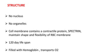 RBC.pptx