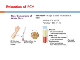 Detail study on Red blood cells in ppt format | PPT