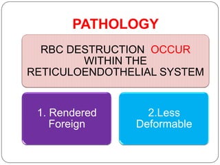 Patho B Rbc Patho B | PPTX