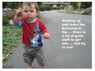 Walking up and down the driveway is fun … there is a lot of good stuff to get into … and try to eat!