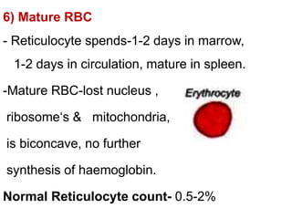 6) Mature RBC
- Reticulocyte spends-1-2 days in marrow,
1-2 days in circulation, mature in spleen.
-Mature RBC-lost nucleus ,
ribosome‘s & mitochondria,
is biconcave, no further
synthesis of haemoglobin.
Normal Reticulocyte count- 0.5-2%
 