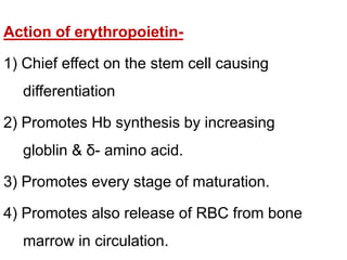 Action of erythropoietin-
1) Chief effect on the stem cell causing
differentiation
2) Promotes Hb synthesis by increasing
globlin & δ- amino acid.
3) Promotes every stage of maturation.
4) Promotes also release of RBC from bone
marrow in circulation.
 