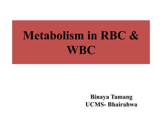 Metabolism in RBC &
WBC
Binaya Tamang
UCMS- Bhairahwa
 