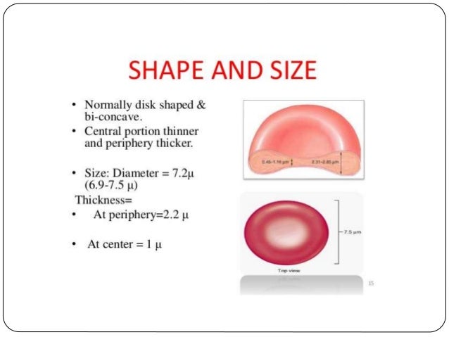 Rbc Size On Finger Chart