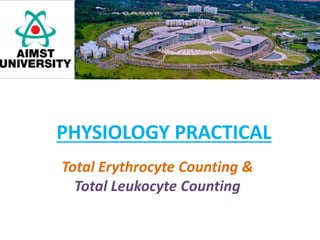 Total Erythrocyte Counting &
Total Leukocyte Counting
PHYSIOLOGY PRACTICAL
 