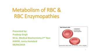 Metabolism of RBC &
RBC Enzymopathies
Presented by:
Pradeep Singh
M.Sc. Medical Biochemistry 2nd Year
HIMSR, Jamia Hamdard
08/04/2019
1
 