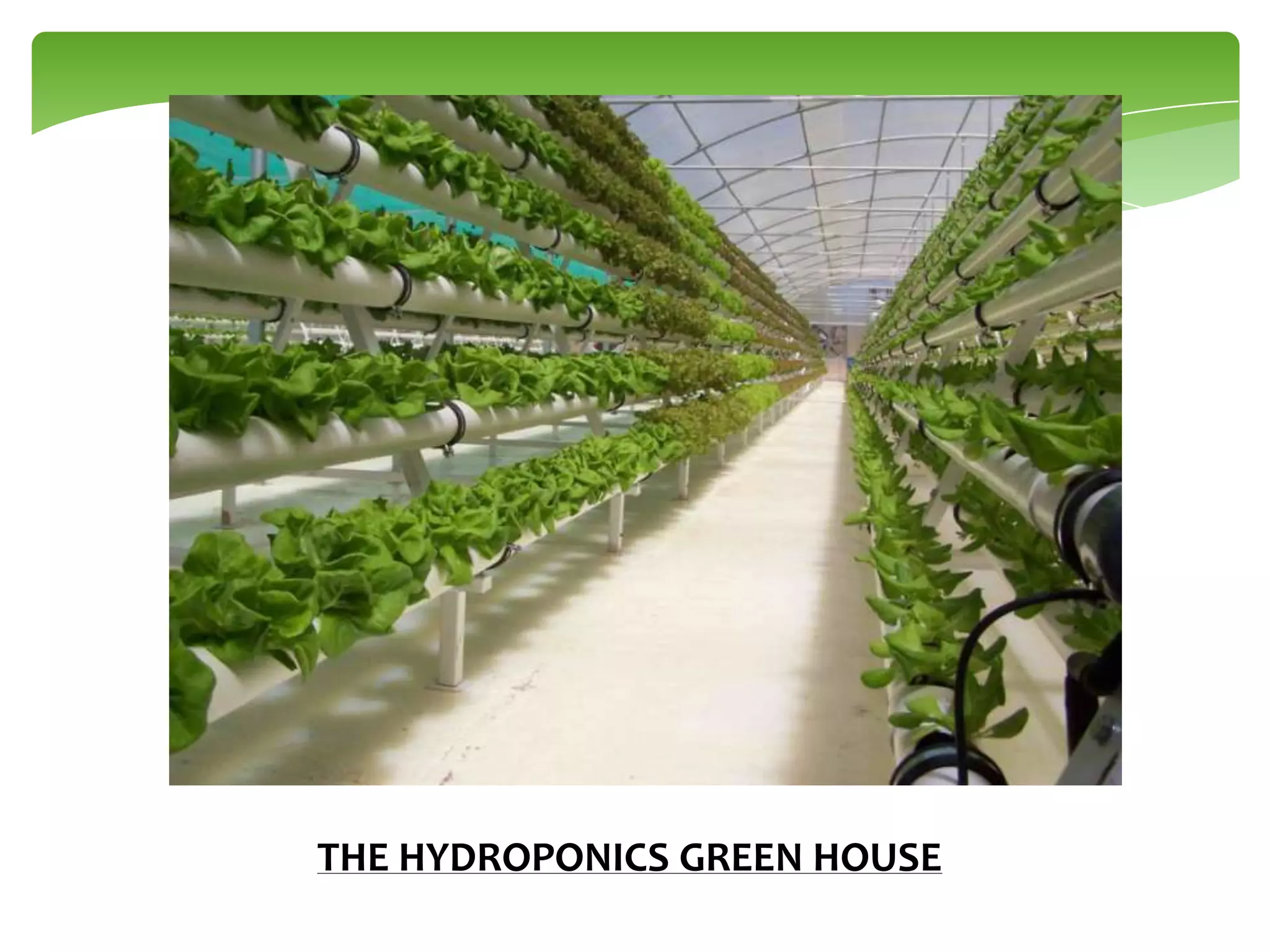 THE HYDROPONICS GREEN HOUSE

 